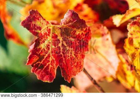 Colors Of France