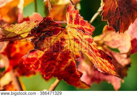 Colors Of France