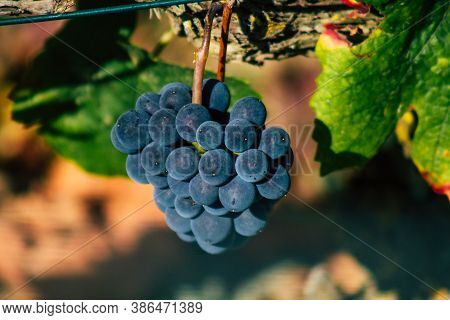 Colors Of France