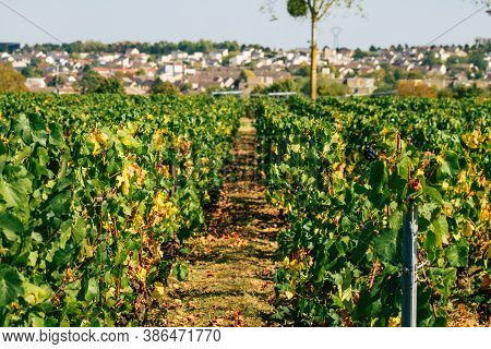 Colors Of France
