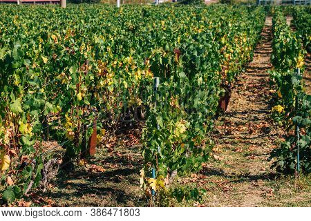 Colors Of France