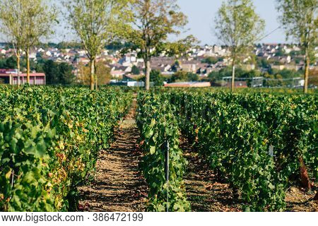 Colors Of France