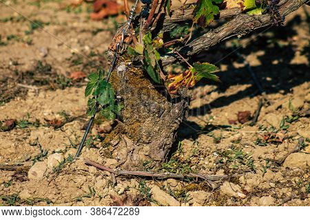 Colors Of France