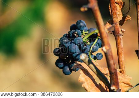 Colors Of France