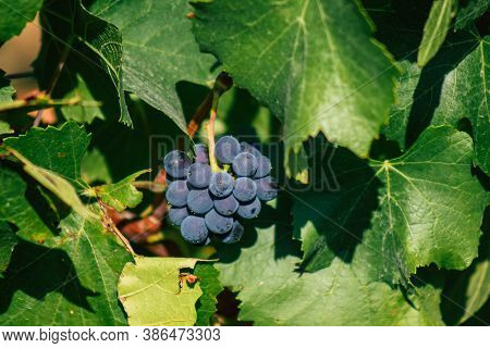 Colors Of France