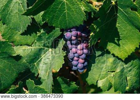 Colors Of France