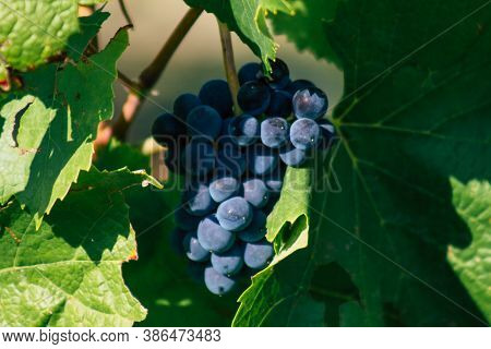 Colors Of France