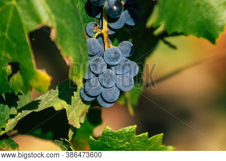 Colors Of France