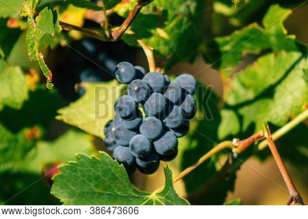 Colors Of France