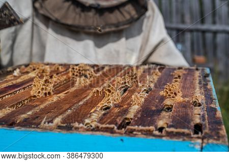 Beekeeper Opens The Beehouses Cover To Take Honey Out Of It