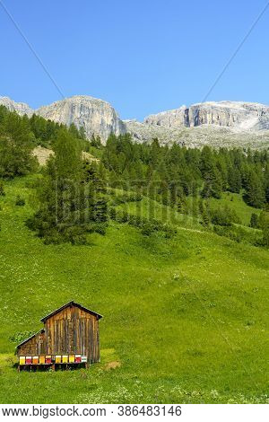 Mountain Landscape At Summer Along The Road To Campolongo Pass, Dolomites, Bolzano Province, Trentin