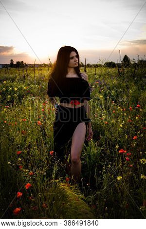 Summer Nature Portrait Of Slim Brunette Woman In Long Black Dress With A Poppies Posing On Wild Flow