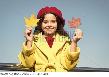 Inspiring Fall. Ideas For Autumn Leisure. Little Girl Adore Autumn Season. Kid Hold Maple Leaves. Sm