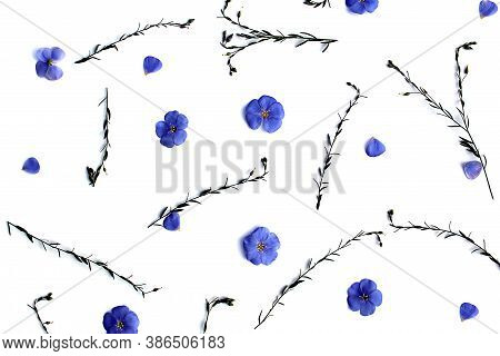 Texture Blue Little Flowers And Twigs Lie On A White Background