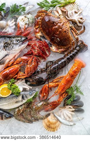 Top view Variety of fresh luxury seafood, Lobster salmon mackerel crayfish prawn octopus mussel red snapper scallop and stone crab, on ice background with icy smoke in seafood market.
