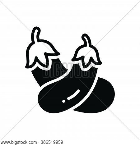 Black Solid Icon For Brinjal Eggplant Aubergine Ingredient Vegetable Agriculture Cultivation Plant F