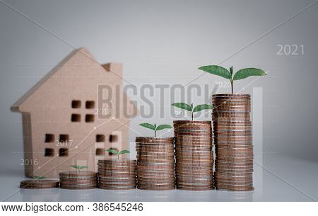Money Coin Stack Growing Graph And House Model On Gray Background.tree Growing On Coin.saving Money 