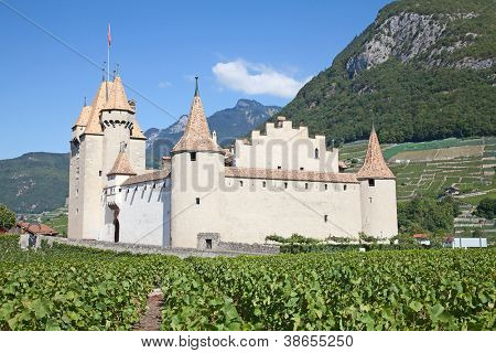 Slavný zámek Chateau hnízdo v kantonu Vaud, Švýcarsko