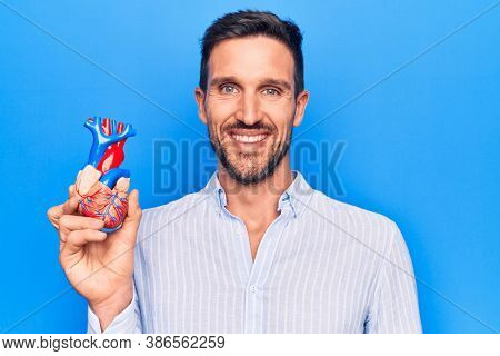Young handsome man holding heart organ with veins and arteries over blule background looking positive and happy standing and smiling with a confident smile showing teeth