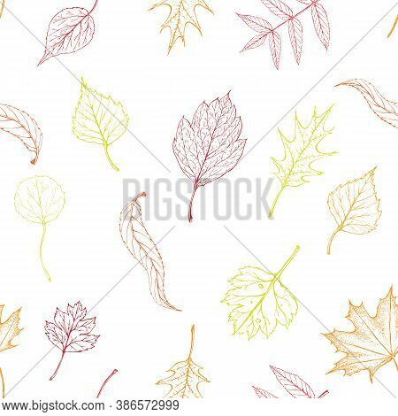 Seamless Autumn Leaves Pattern. Hand Drawn Leaves Endless Background In Fall Colors. Red, Yellow, Go