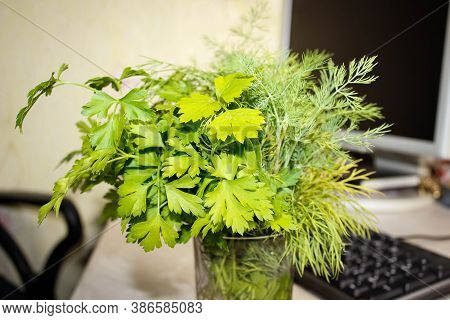 A Bouquet Of Parsley And Dill, Which Stands On The Computer Table In A Glass. Close Up.