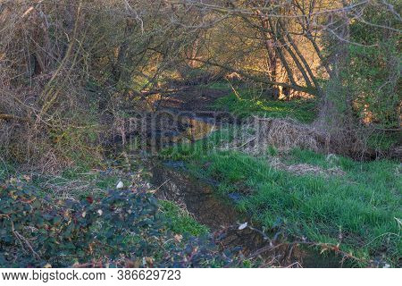 The River Naab Next To Schwandorf In Bavaria