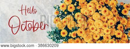 Hello October Text With Bouquet Of Orange Chrysanthemum Flowers On Background, Banner Size