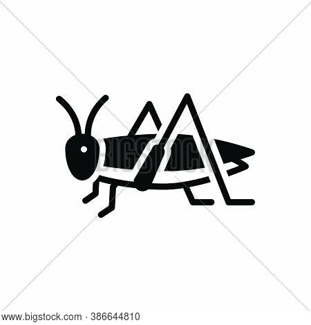 Black Solid Icon For Grasshopper Bizarre Locust Critter Plague Brukebruke Bug Dirty Prejudicial Inse
