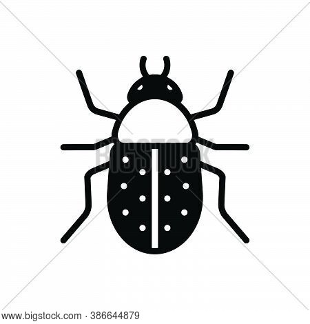 Black Solid Icon For Beetle  Bug Fly Prejudicial Insect Grasshopper Cricket Colorado Harmful Bumbleb