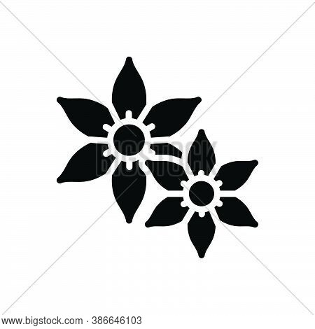 Black Solid Icon For Jasmine Chameli Vines Liana Fragrance Summer Horticulture Decoration Natural Fl