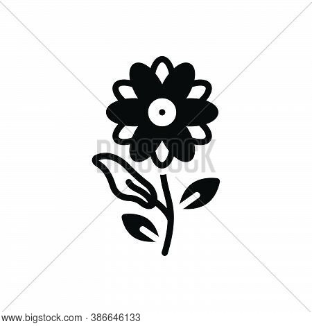Black Solid Icon For Magnolia Burgeon Summer Gardenia Aromatherapy Spring Floral Decoration Natural 