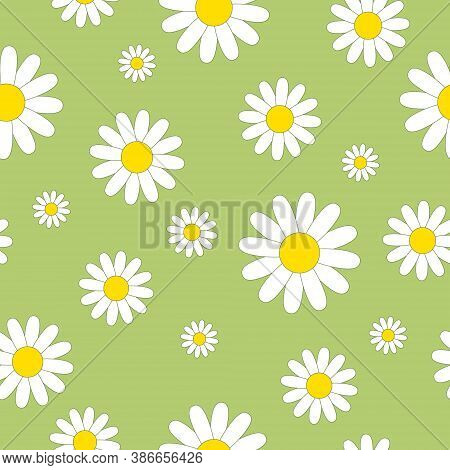 Chamomile Seamless Pattern On A Light Green Background