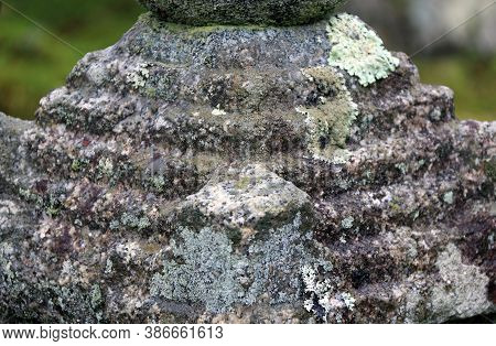Closeup Decorated Stone Cover By Lichen Moss And Background The Tree In The Japanese Garden. Thallop