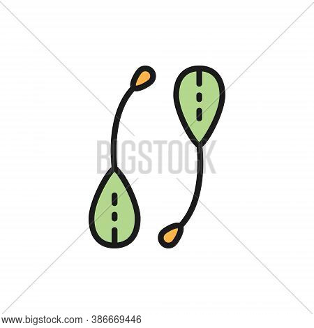 Capers, Flat Color Line Icon. Isolated On White Background