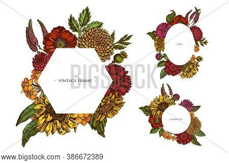 Floral Frames With Colored Poppy Flower, Gerbera, Sunflower, Milkweed, Dahlia, Veronica Stock Illust