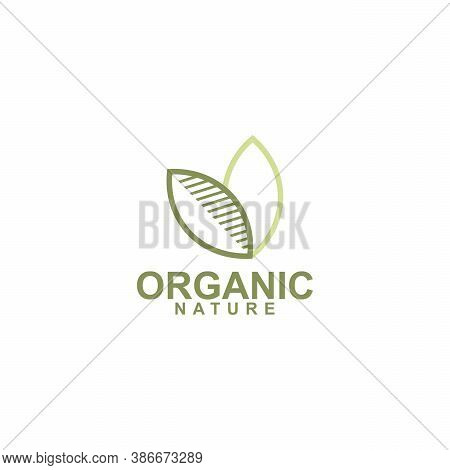 Organic Logo Template Design Vector, Tree Leaf