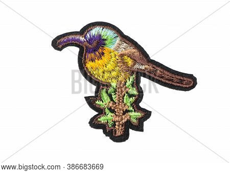 Kolibri Embroidered Patch Isolated On White Background