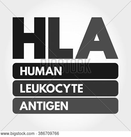 Hla - Human Leukocyte Antigen Acronym, Medical Concept Background