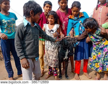 District Katni, India - January 01, 2020: Asian Poor Village Children Playing With Dogs Together At 