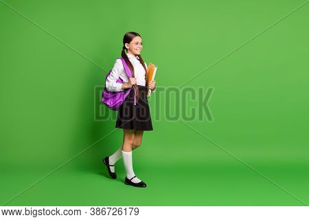 Photo Portrait Of Girl Walking Holding Books In Hand Wearing Pink Backback On Shoulder Isolated On V
