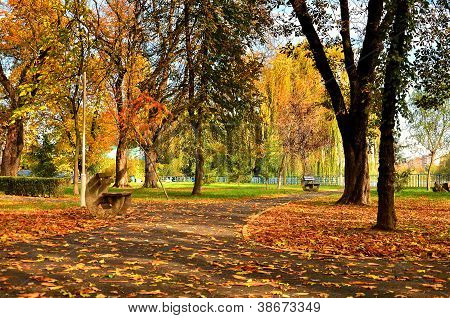 Herfst park
