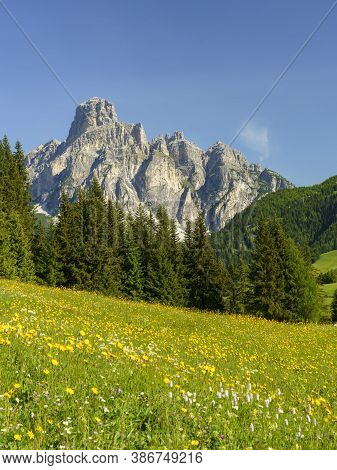 Mountain Landscape At Summer Along The Road To Campolongo Pass, Dolomites, Bolzano Province, Trentin