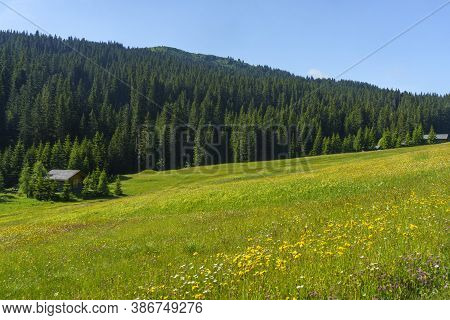 Mountain Landscape At Summer Along The Road To Campolongo Pass, Dolomites, Bolzano Province, Trentin