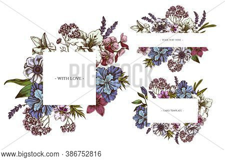 Floral Frames With Colored Anemone, Lavender, Rosemary Everlasting, Phalaenopsis, Lily, Iris Stock I
