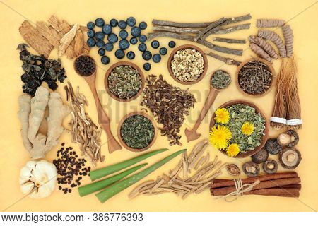 Adaptogen herb & spice health food selection. Natural plant based foods that helps the body deal with stress and promote or restore normal physiological functions. Flat lay on mottled yellow.