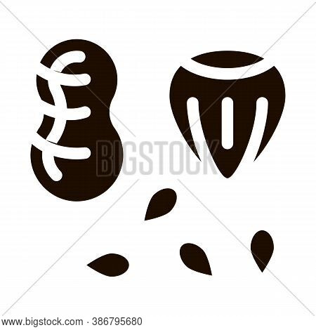 Assortment Healthy Food Nuts Vector Icon. Bio Eco Nuts Peanut, Filbert Hazel-nut And Seeds Pictogram