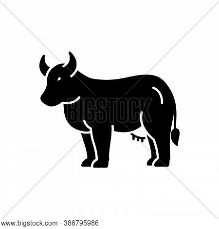 Black Solid Icon For Cow Bossy Livestock Useful Dairy Cattle Give-milk Milk Farm Heifer Breef Agricu