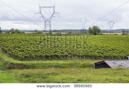 franzÃ¶sische Weinberge Landschaft