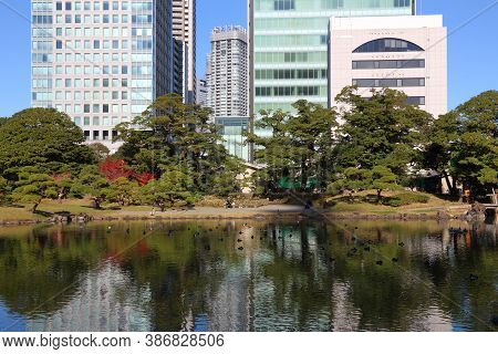 Tokyo, Japan - December 2, 2016: People Visit Kyu Shiba Rikyu Garden In Tokyo, Japan. Tokyo Is The C
