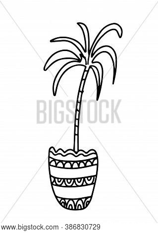 Dracaena Houseplant In A Pot Decorated With Ornaments. Doodle Style. Hand Drawn Vector Illustration 